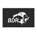 BDR Pharma