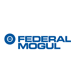 Federal Mogul ltd